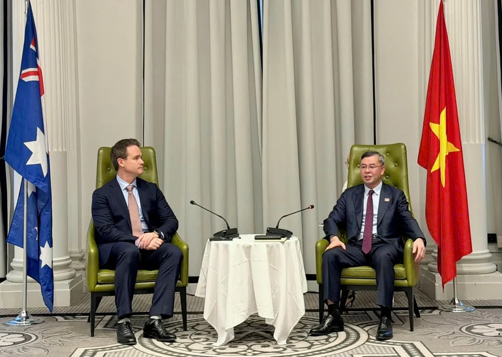 Viet Nam, Australia expand rice value chain investment